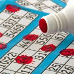 5 Major Reasons How You’re in a position to see Internet Bingo Game